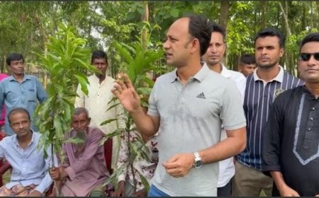 বাংলাদেশের চুনারুঘাটকে সবুজে মুড়ে দিতে উদ্যোগ নিল ব্যারিস্টার সুমন