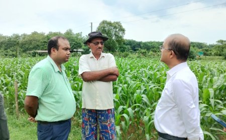 বামুটিয়ায় উৎপাদন হচ্ছে বেবিকর্ন,পরিদর্শন করেন নাবার্ডের জেনারেল ম্যানেজার