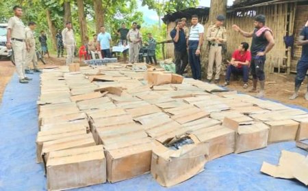 নেশা বিরোধী অভিযানে বড় সাফল্য ধলাই জেলা পুলিশের, আটক এক