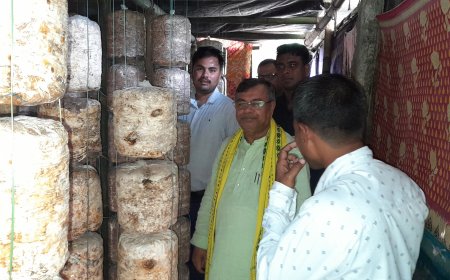 মাশরুম চাষে যুবকের সাফল্য, ঘুরে দেখলেন কৃষিমন্ত্রী