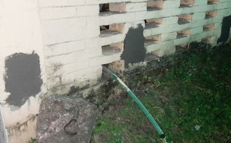 ব্যাপক প্রতিবাদের মুখে বাউন্ডারি ওয়াল থেকে হিন্দু দেব-দেবীদের ছবি সরাল জিনজার কর্তৃপক্ষ