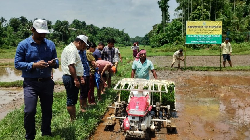 পেডি ট্রান্সপ্লান্টার ব্যবহারে ১৫০০ টাকায় ১ কানি জমিতে ধানের চারা রোপণ, কৃষি কলেজে সচেতনতামূলক নমুনা প্রদর্শন