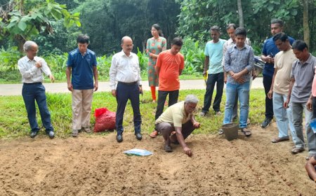কৃষি কলেজ ও নাবার্ডের যৌথ উদ্যোগে পেঁয়াজ চাষে প্রশিক্ষণ এবং সহযোগিতা প্রদান