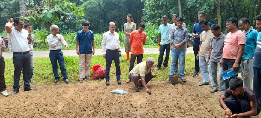 কৃষি কলেজ ও নাবার্ডের যৌথ উদ্যোগে পেঁয়াজ চাষে প্রশিক্ষণ এবং সহযোগিতা প্রদান