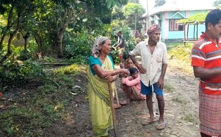 উত্তর বামুটিয়া গ্রাম পঞ্চায়েত এলাকায় রেগার কাজের নিয়মে দফারফা