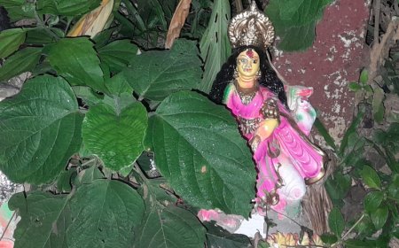 মেয়াদ উত্তীর্ণ লক্ষ্মী প্রতিমা, ঠাঁই হলো রাস্তার পাশে