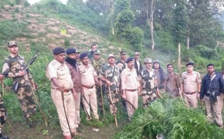সীমান্ত রক্ষী বাহিনীর গাঁজা বিরোধী অভিযান এবং পাচার সামগ্রী আটক