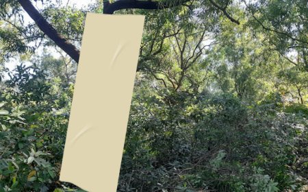 স্কুলটিলা এলাকা থেকে উদ্ধার ঝুলন্ত দেহ, খুনের অভিযোগ স্ত্রীর