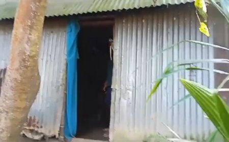 বাংলাদেশী চুরেরা ছনমুড়ি থেকে গরুর চুরি করে নেওয়ার অভিযোগ গৃহস্থের