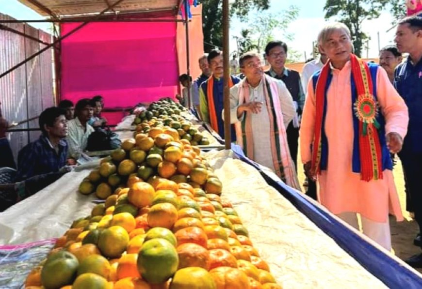 জম্পুইয়ের গ্লানি বুকে চেপে, কিল্লায় উদ্বোধন  কমলা উৎসবের