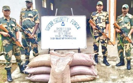 পাচার-বানিজ্য রোধে সাফল্য সীমান্ত রক্ষী বাহিনীর