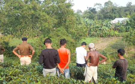 আত্মরক্ষার্থে বাড়ি থেকে বেরিয়ে পঁচা গলা দেহ উদ্ধার হেলনের, তদন্তে পুলিশ