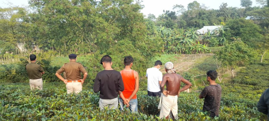 আত্মরক্ষার্থে বাড়ি থেকে বেরিয়ে পঁচা গলা দেহ উদ্ধার হেলনের, তদন্তে পুলিশ