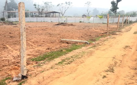 কৃষকের জমির পিলার ভেঙ্গে দিল দুষ্কৃতীয়া, নিয়ে গেল লোহার গেট