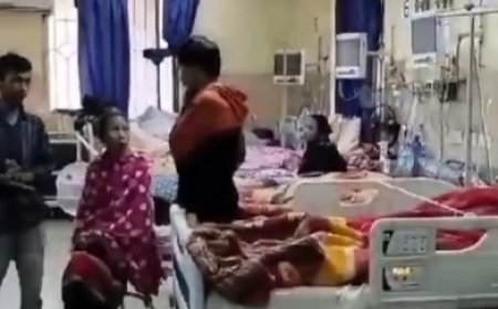 ভাল্লুকের আক্রমণে আহত এক, বাঁচার তাগিদে আক্রমণের নৈতিকতা নিয়ে প্রশ্ন?