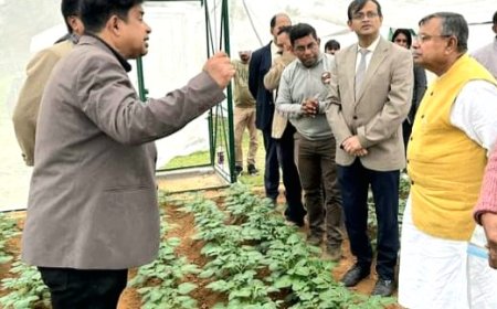 নাগিছড়ায় আধুনিক আলু বীজ উৎপাদন প্রক্রিয়া পরিদর্শন করলেন কৃষিমন্ত্রী