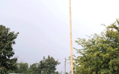 বাঁশের মাথায় মোবাইল বেঁধে জিও ট্যাগিং করল GRS