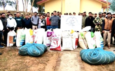 BSF ও কাস্টমসের যৌথ অভিযানে উদ্ধার ২৪০ কিলো গাঁজা