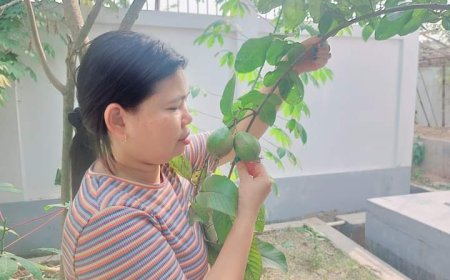 চারা রোপন করে ফল খেলেন মন্ত্রী সান্তনা চাকমা