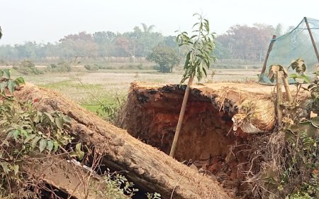 বামুটিয়া জলিলপুর সড়কে ভেঙ্গে পড়ল বক্স কালভার্ট, আহত বাইক চালক