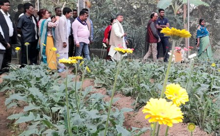 জারবেরা চাষের জমি পরিদর্শন করলেন কৃষিমন্ত্রী, বেকারদের উদ্যোগী হওয়ার আহ্বান মন্ত্রীর