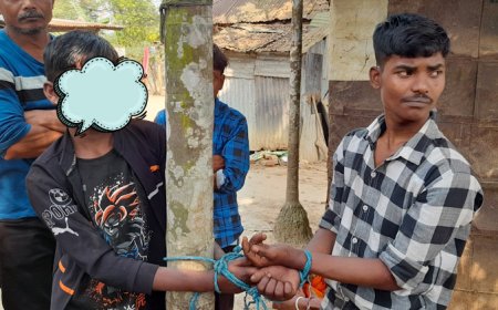 গাড়ির ব্যাটারি চুরি করে খাসের টিলায় আটক দুই নেশাখোর চোর