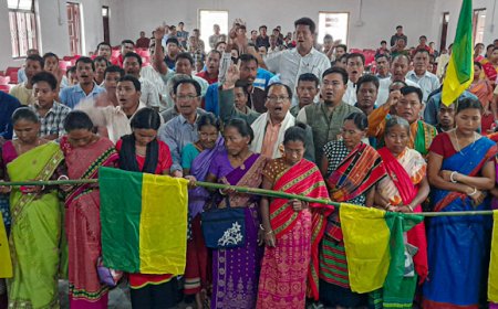 হেজামারায় সিপিআই(এম) ও মথা ছেড়ে ৪২০ জন ভোটার IPFT-তে