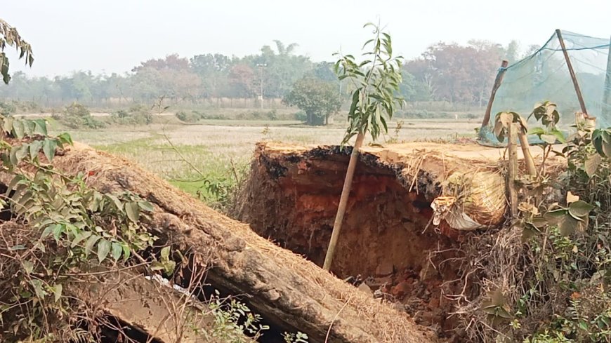 বামুটিয়া জলিলপুর সড়কে ভেঙ্গে পড়ল বক্স কালভার্ট, আহত বাইক চালক