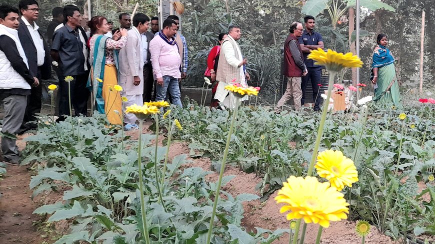 জারবেরা চাষের জমি পরিদর্শন করলেন কৃষিমন্ত্রী, বেকারদের উদ্যোগী হওয়ার আহ্বান মন্ত্রীর