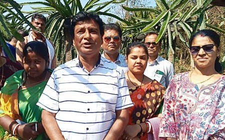 ত্রিপুরাকে অনুসরণ করতে চায় মহারাষ্ট্র,রাজ্য সফরে এসে বললেন আধিকারিক