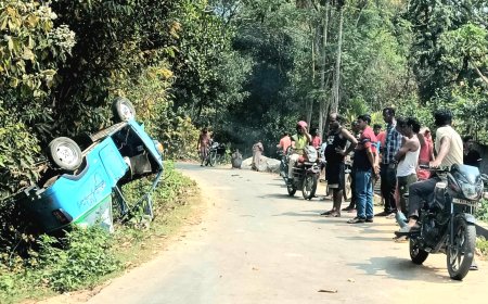 পাল্টি খেল অটো,আহত চালক চিকিৎসাধীন GBP-হাসপাতালে