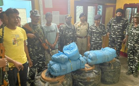 গোপন খবরের ভিত্তিতে অবৈধ গাঁজা সমেত গ্রেফতার-১