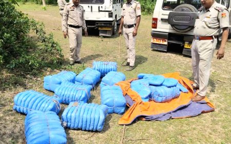 বরদোষ লেক এলাকা থেকে অবৈধ গাঁজা উদ্ধার করল PR বাড়ি থানার পুলিশ