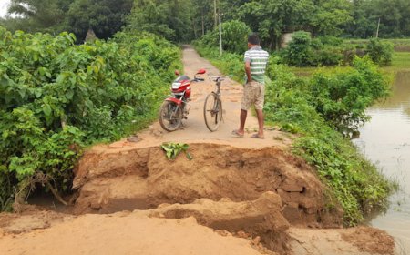 ভেঙ্গে পড়ল বক্স কালভার্ট, পথচারী থেকে কৃষক সমস্যার সম্মুখীন