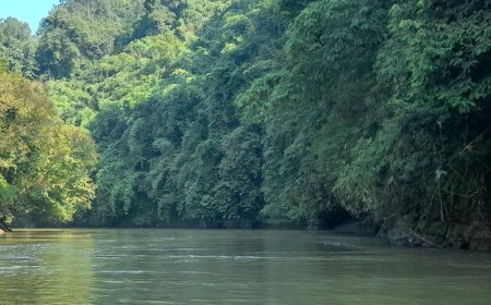 বাঁধ খুলে দেওয়া হবে ডুম্বুর জলাশয়ের, সতর্কতা জারি প্রশাসনের
