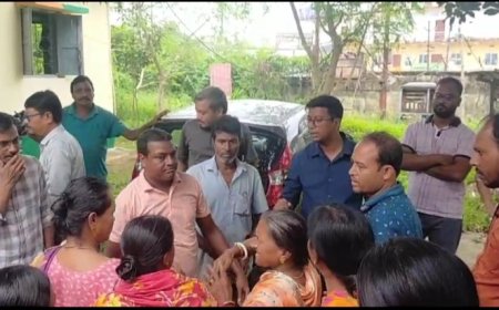 FCI গোডাউনের চালের পোকার প্রভাবে নাজেহাল জনজীবন