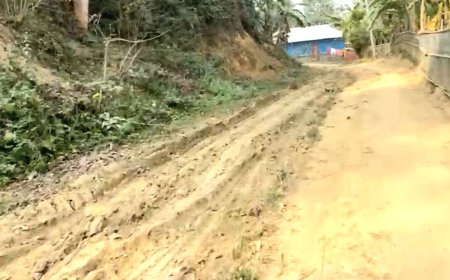 মান্দাইয়ের গাছিয়া পাড়ায় যাতায়াতের রাস্তা নির্মাণ ও পানীয় জলের দাবি গ্রামবাসীর