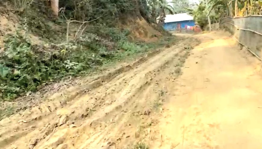 মান্দাইয়ের গাছিয়া পাড়ায় যাতায়াতের রাস্তা নির্মাণ ও পানীয় জলের দাবি গ্রামবাসীর