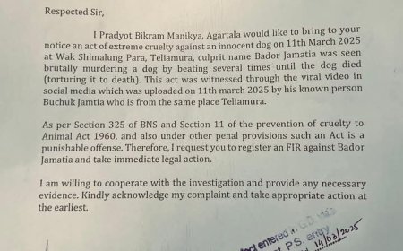 নৃশংসভাবে কুকুর হত্যা করল যুবক, বিচার চেয়ে FIR করলোক প্রদ্যুৎ