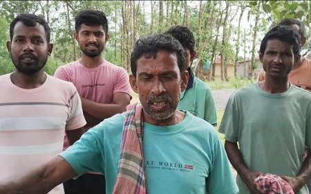 সিধাইয়ে আটক বাংলাদেশি গরু চোরদের ফেরত দিল BSF, নিরাপত্তা সুনিশ্চিতের দাবী গ্রামবাসীর