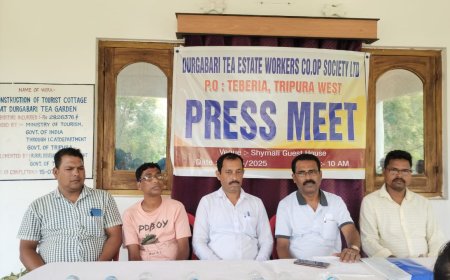 দুর্গা বাড়ির চা বাগানে আর্থিক অনিয়ম ফিরিয়ে আনর চেষ্টা,অভিযোগ এডমিনিস্ট্রেটরের