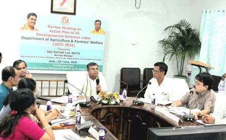 ত্রিপুরায় ৭০০০ হেক্টর জমিতে পামঅয়েল চাষের উদ্যোগ: কৃষি মন্ত্রী