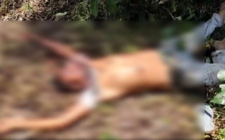 সিমনার কৃষ্ণপুর চা বাগান থেকে উদ্ধার রক্তাক্ত দেহ, তদন্তে পুলিশ