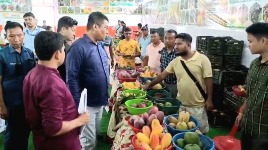 আগরতলায় আম ও আনারস উৎসবের সূচনা, খুশি কৃষকরা