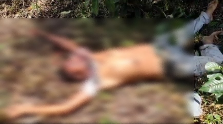 সিমনার কৃষ্ণপুর চা বাগান থেকে উদ্ধার রক্তাক্ত দেহ, তদন্তে পুলিশ