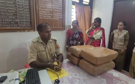 বহিঃ রাজ্যের দুই মহিলা অভিযুক্ত সহ গাঁজা আটক করল লেফুঙ্গা থানা