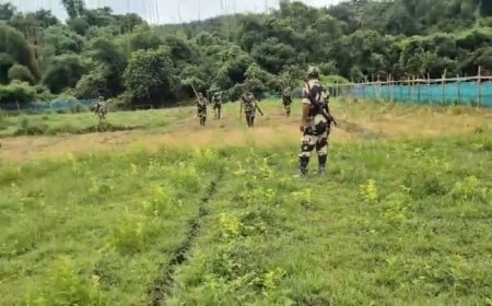 সিমনায় গাঁজা বিরোধী অভিযানে গিয়ে আক্রান্ত পুলিশ, পরিস্থিতির নিয়ন্ত্রণে শূন্যে গুলি