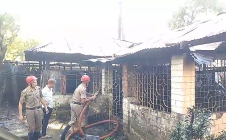 ভয়াবহ অগ্নিকাণ্ডে গোটা বাড়ি পুড়ে ছাই, দমকলের ৩ টি ইঞ্জিন নিয়ন্ত্রণে আনে আগুন