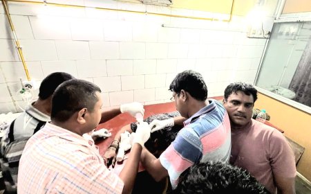 মাথার উশৃংখল বাহিনীর হাতে আক্রান্ত সালেমার বিডিও, ইঞ্জিনিয়ার ও ব্যবসায়ীরা