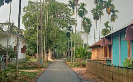 ২৩ বছর পর বামুটিয়ায় রাস্তা মেরামতিতে হাত দিল দপ্তর,অভিযোগ প্রস্হ্য কমানোর